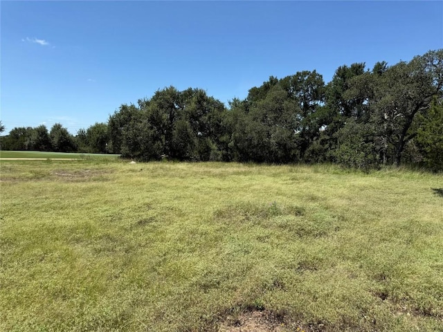 113 N John Bird St, Blanco, TX 78606 - photo 10