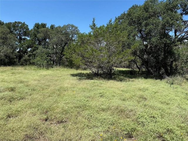 113 N John Bird St, Blanco, TX 78606 - photo 11