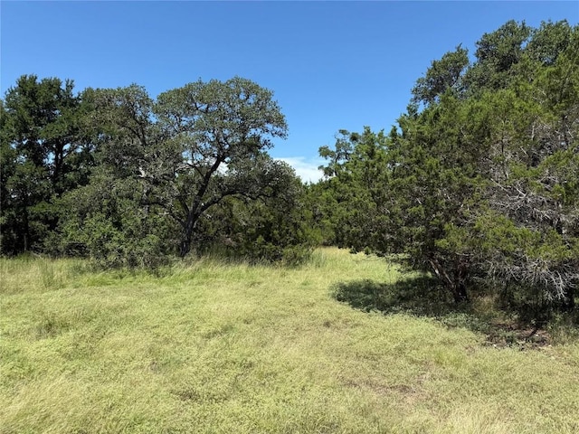113 N John Bird St, Blanco, TX 78606 - photo 12