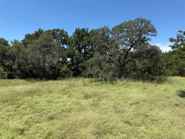 113 N John Bird St, Blanco, TX 78606 - photo 13