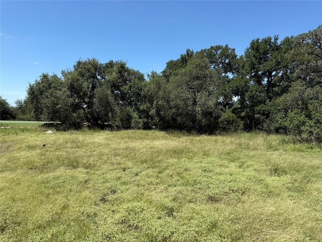 113 N John Bird St, Blanco, TX 78606 - photo 14