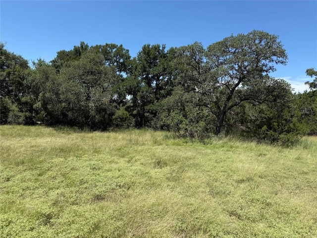 113 N John Bird St, Blanco, TX 78606 - photo 15