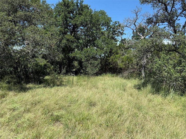 113 N John Bird St, Blanco, TX 78606 - photo 16