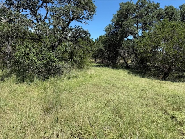 113 N John Bird St, Blanco, TX 78606 - photo 17