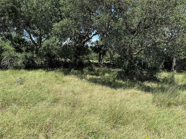 113 N John Bird St, Blanco, TX 78606 - photo 19