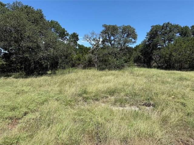 113 N John Bird St, Blanco, TX 78606 - photo 22