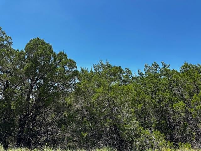 8406 Bronco Ln, Lago Vista, TX 78645 - photo 1