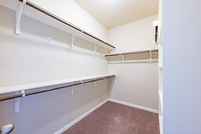 5836 Novaro Pl, Round Rock, TX 78665 - photo 25