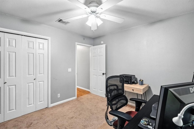 113 Meadowside Dr, Hutto, TX 78634 - photo 29