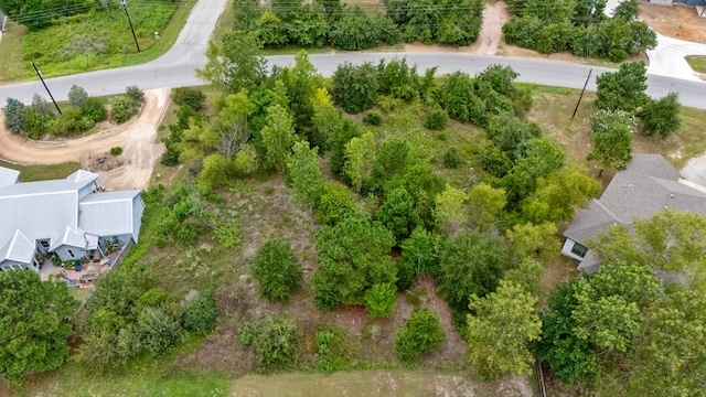 TBD Cardinal Dr, Bastrop, TX 78602 - photo 7