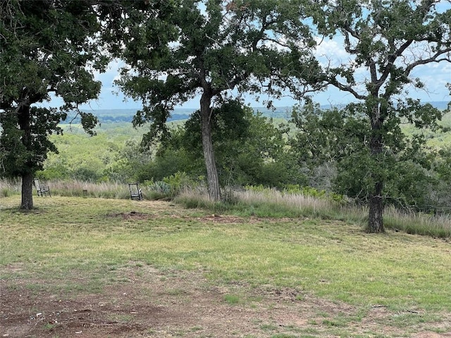 184 Guadalupe Hills Ln, Seguin, TX 78155 - photo 38