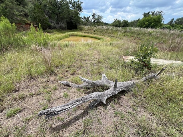 184 Guadalupe Hills Ln, Seguin, TX 78155 - photo 39