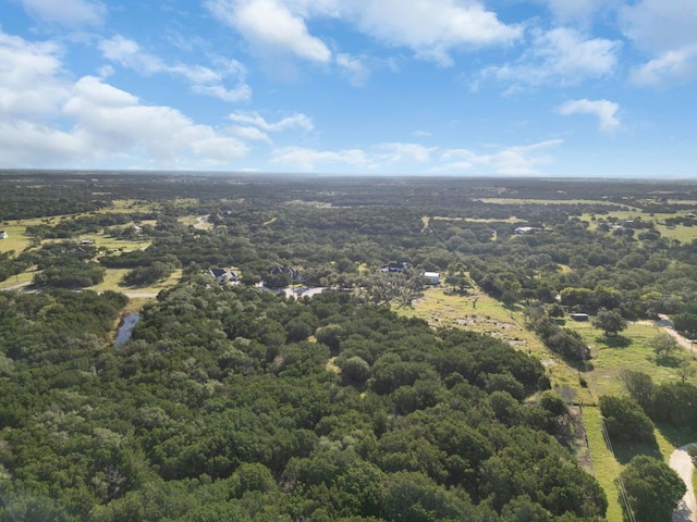 TBDLOT12 Grace Ln, Bertram, TX 78605 - photo 6