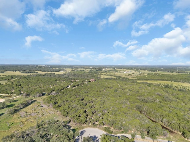 TBDLOT12 Grace Ln, Bertram, TX 78605 - photo 9