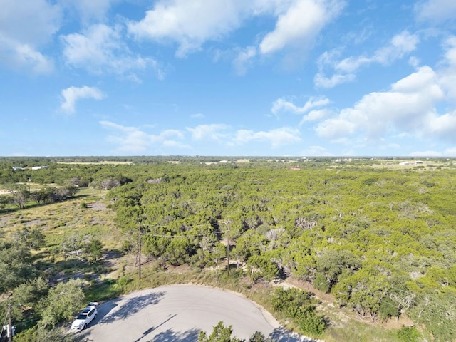 TBDLOT12 Grace Ln, Bertram, TX 78605 - photo 10