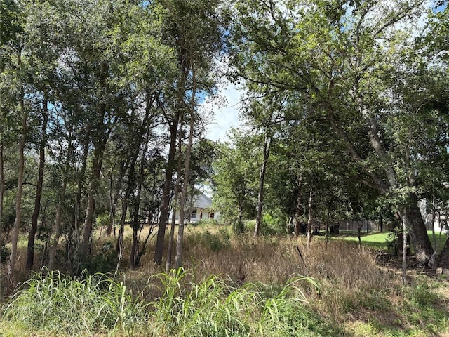 111 W Kikipua Ln W, Bastrop, TX 78602 - photo 1