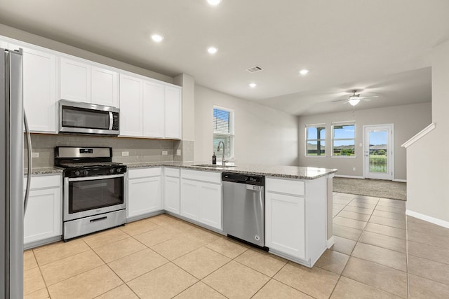13508 Rosebud Isle Dr, Manor, TX 78653 - photo 10