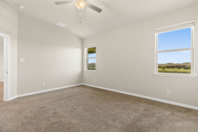 13508 Rosebud Isle Dr, Manor, TX 78653 - photo 15