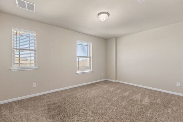 13508 Rosebud Isle Dr, Manor, TX 78653 - photo 24