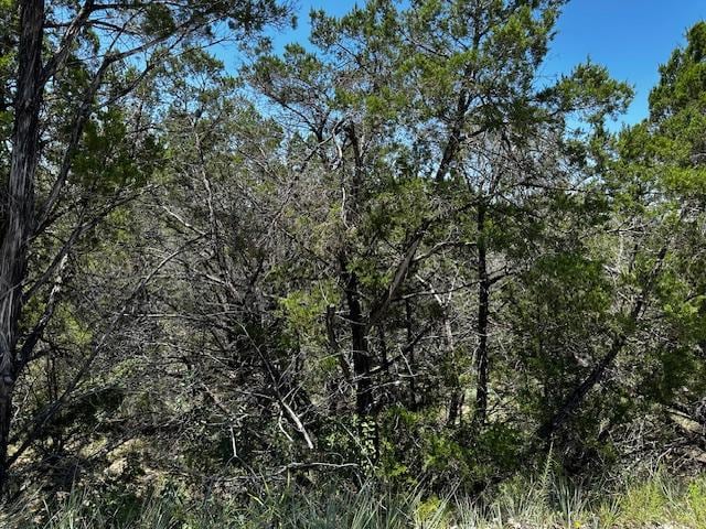 8408 Bronco Ln, Lago Vista, TX 78645 - photo 1