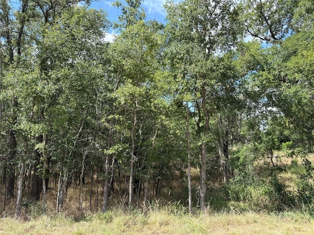 103 W Kikipua Ln, Bastrop, TX 78602 - photo 1