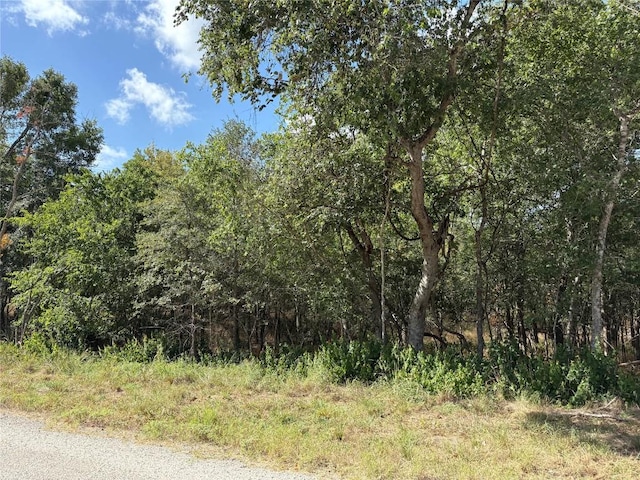 103 W Kikipua Ln, Bastrop, TX 78602 - photo 2