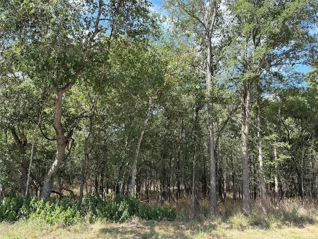 103 W Kikipua Ln, Bastrop, TX 78602 - photo 3