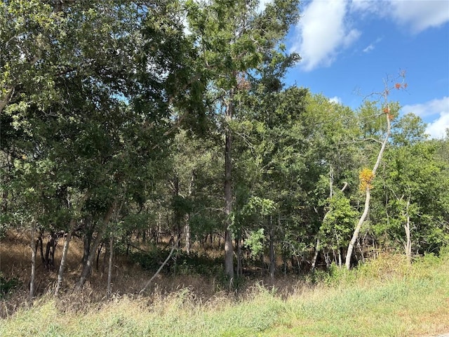103 W Kikipua Ln, Bastrop, TX 78602 - photo 4