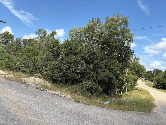 103 W Kikipua Ln, Bastrop, TX 78602 - photo 5