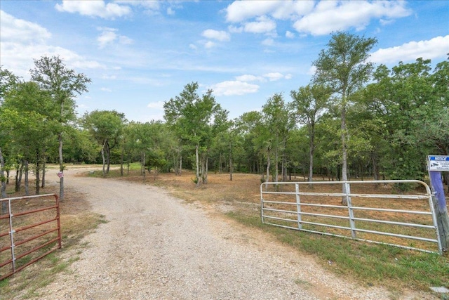 143 Chandler Cv, Cedar Creek, TX 78612 - photo 1