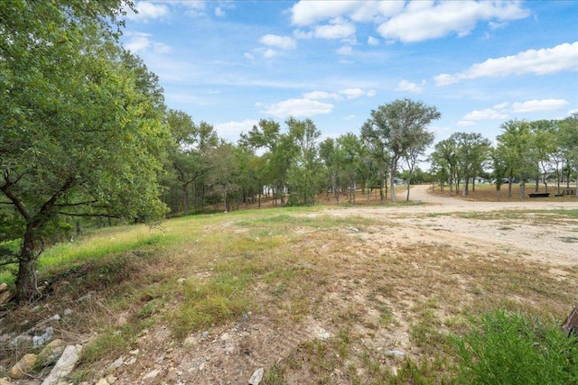 143 Chandler Cv, Cedar Creek, TX 78612 - photo 3
