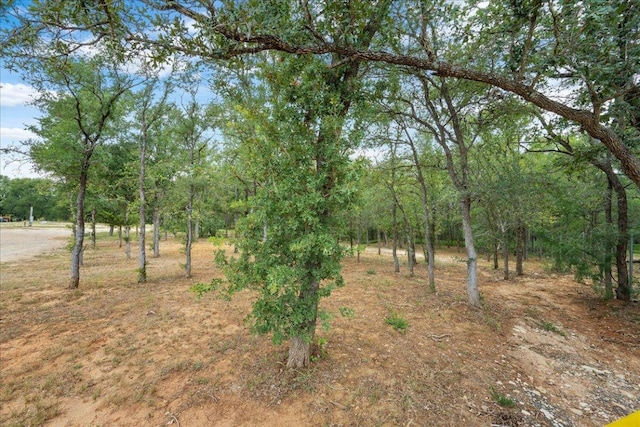 143 Chandler Cv, Cedar Creek, TX 78612 - photo 4