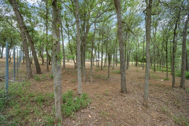 143 Chandler Cv, Cedar Creek, TX 78612 - photo 5