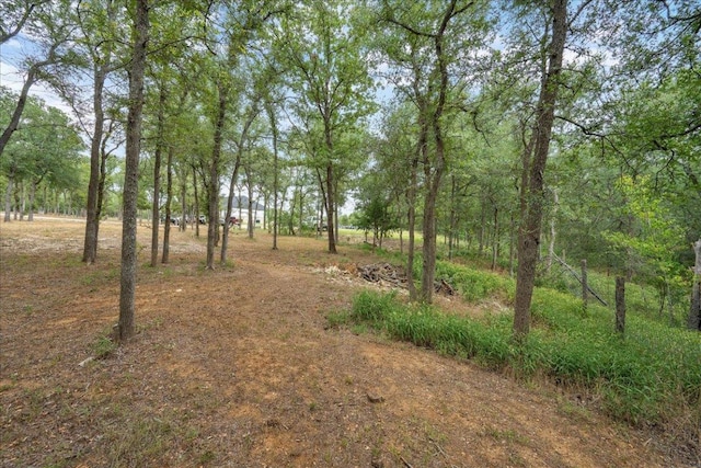 143 Chandler Cv, Cedar Creek, TX 78612 - photo 6