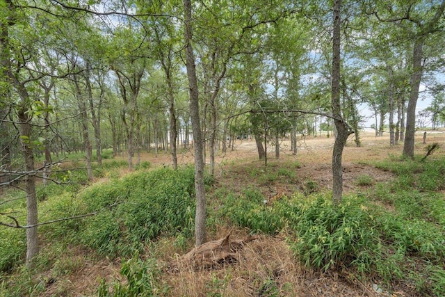 143 Chandler Cv, Cedar Creek, TX 78612 - photo 8