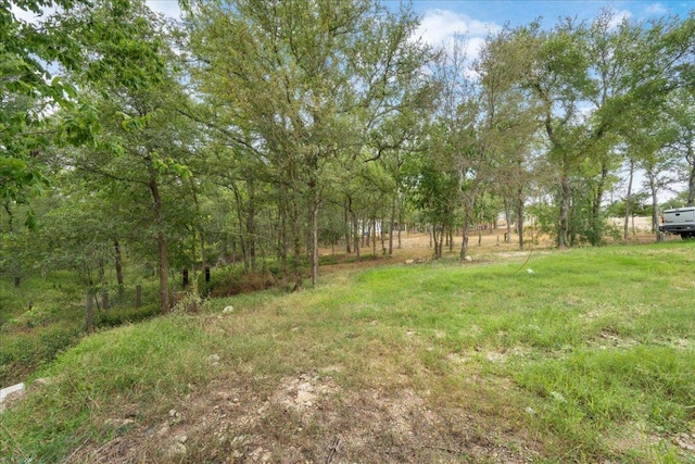 143 Chandler Cv, Cedar Creek, TX 78612 - photo 9