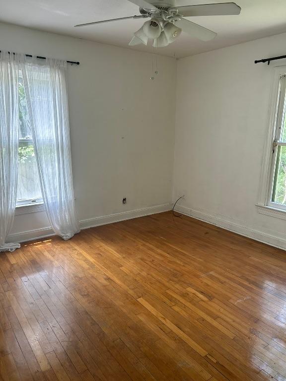 2114 Rountree Dr, Austin, TX 78722 - photo 23