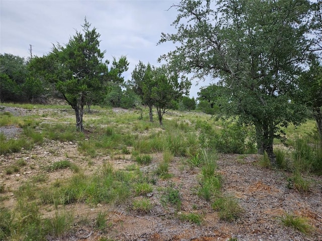 21201 Kathy Ln, Spicewood, TX 78669 - photo 12