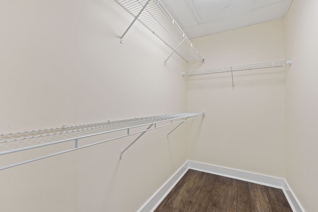 603 Davis St Unit 1304, Austin, TX 78701 - photo 13