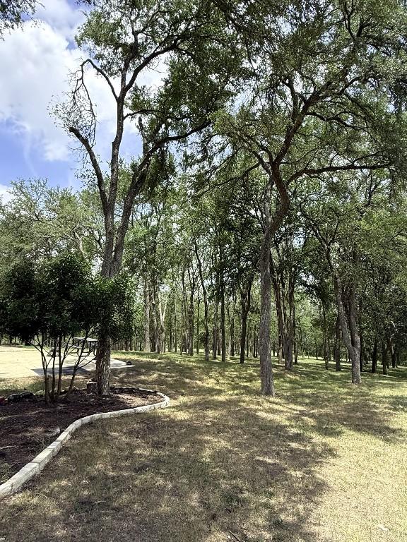 11503 Parsons Rd, Manor, TX 78653 - photo 33