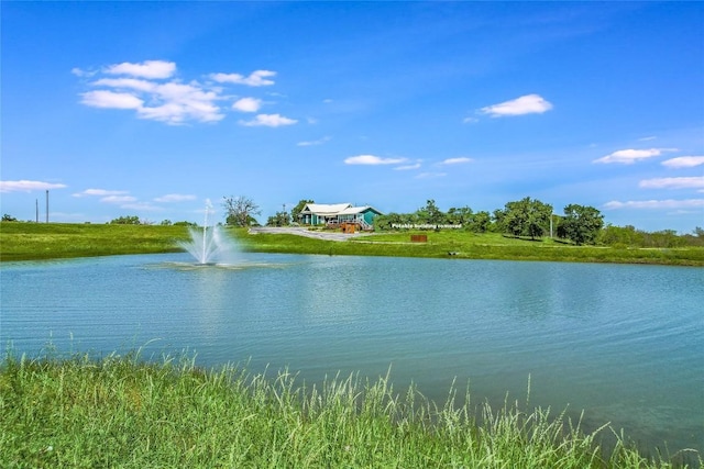 11503 Parsons Rd, Manor, TX 78653 - photo 3