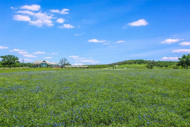 11503 Parsons Rd, Manor, TX 78653 - photo 14