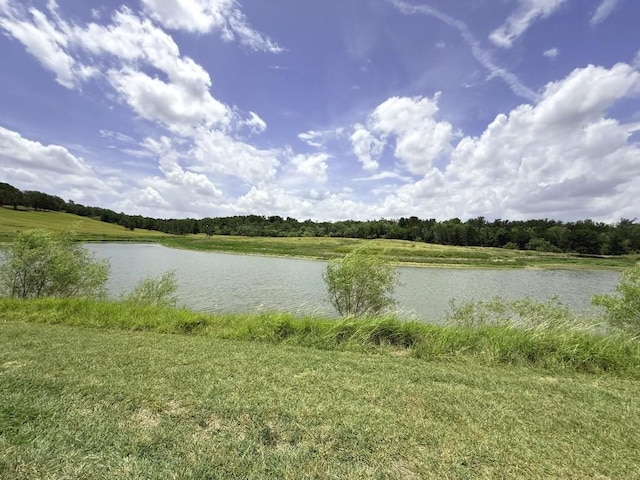 11503 Parsons Rd, Manor, TX 78653 - photo 10
