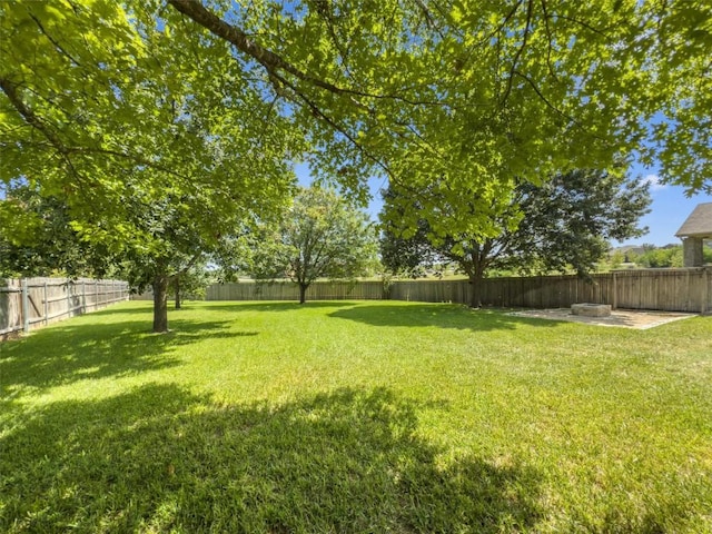 803 Clemson Cv, Pflugerville, TX 78660 - photo 38