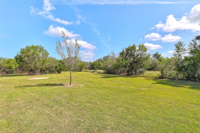 125 Kyle Ln, Georgetown, TX 78633 - photo 35