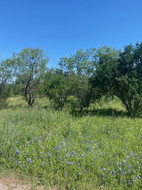 313 Sweet Grass, Horseshoe Bay, TX 78657 - photo 6