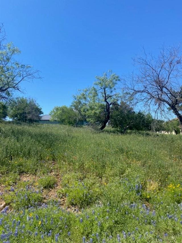 313 Sweet Grass, Horseshoe Bay, TX 78657 - photo 7