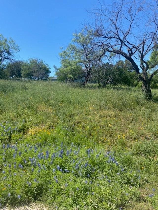 313 Sweet Grass, Horseshoe Bay, TX 78657 - photo 8
