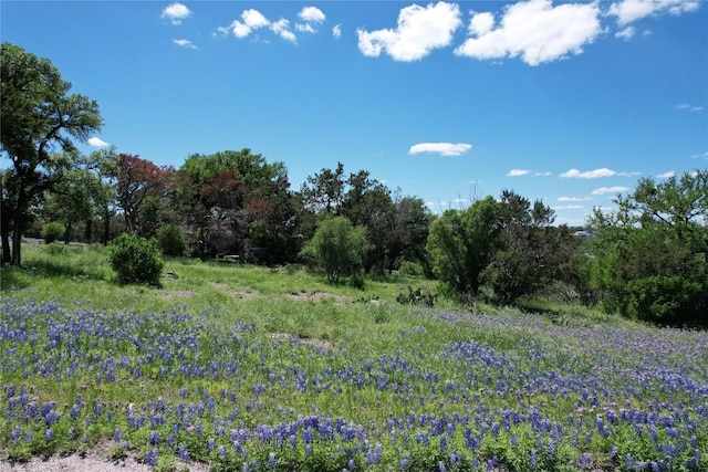2006 Brazos, Horseshoe Bay, TX 78654 - photo 1