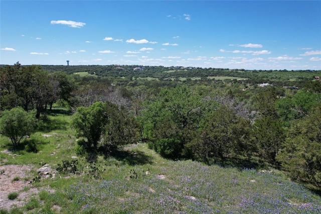 2006 Brazos, Horseshoe Bay, TX 78654 - photo 2
